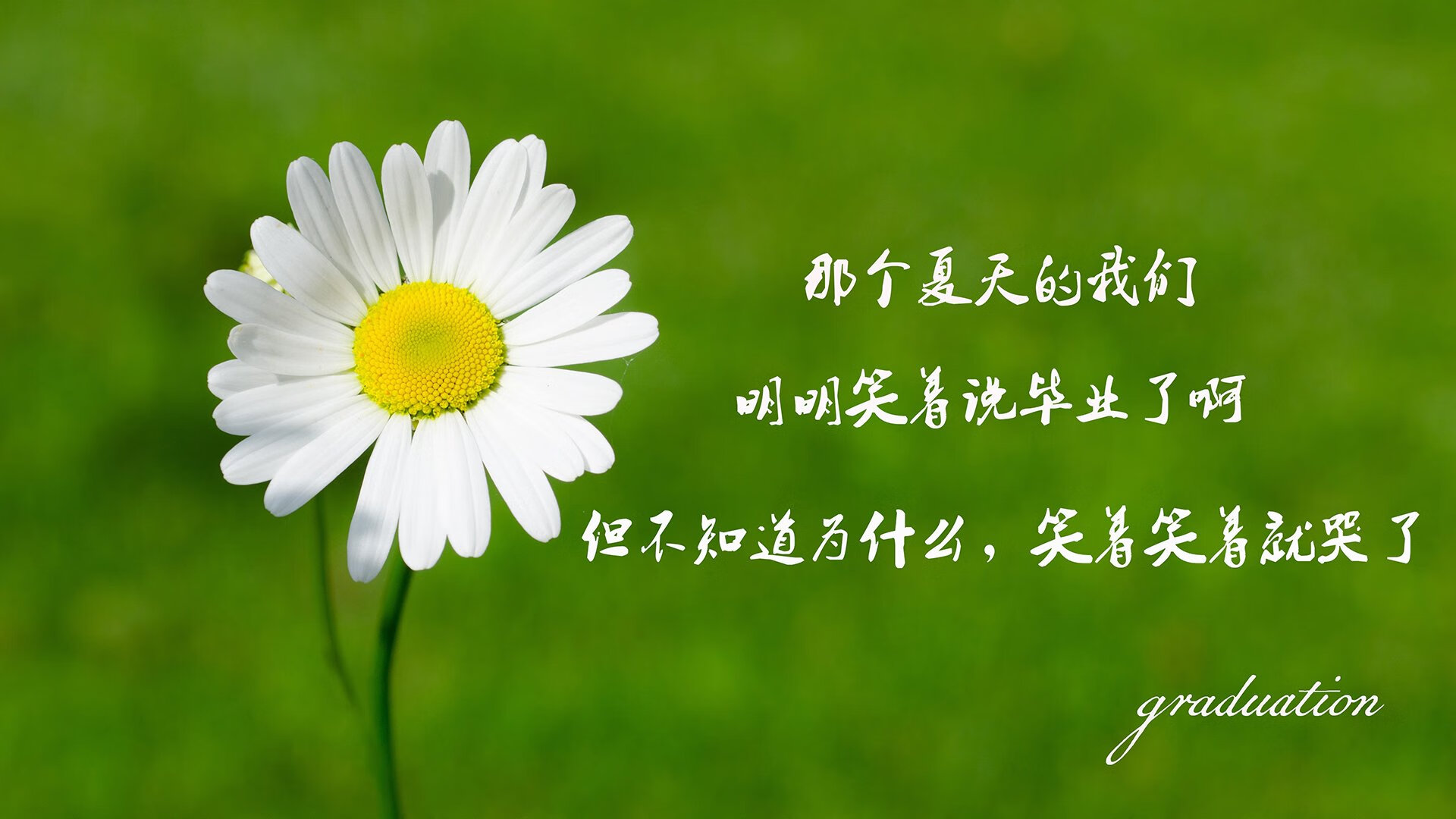 爱游戏体育-极速狂飙：最速圈速纪录诞生瞬间，极速狂飙百度百科