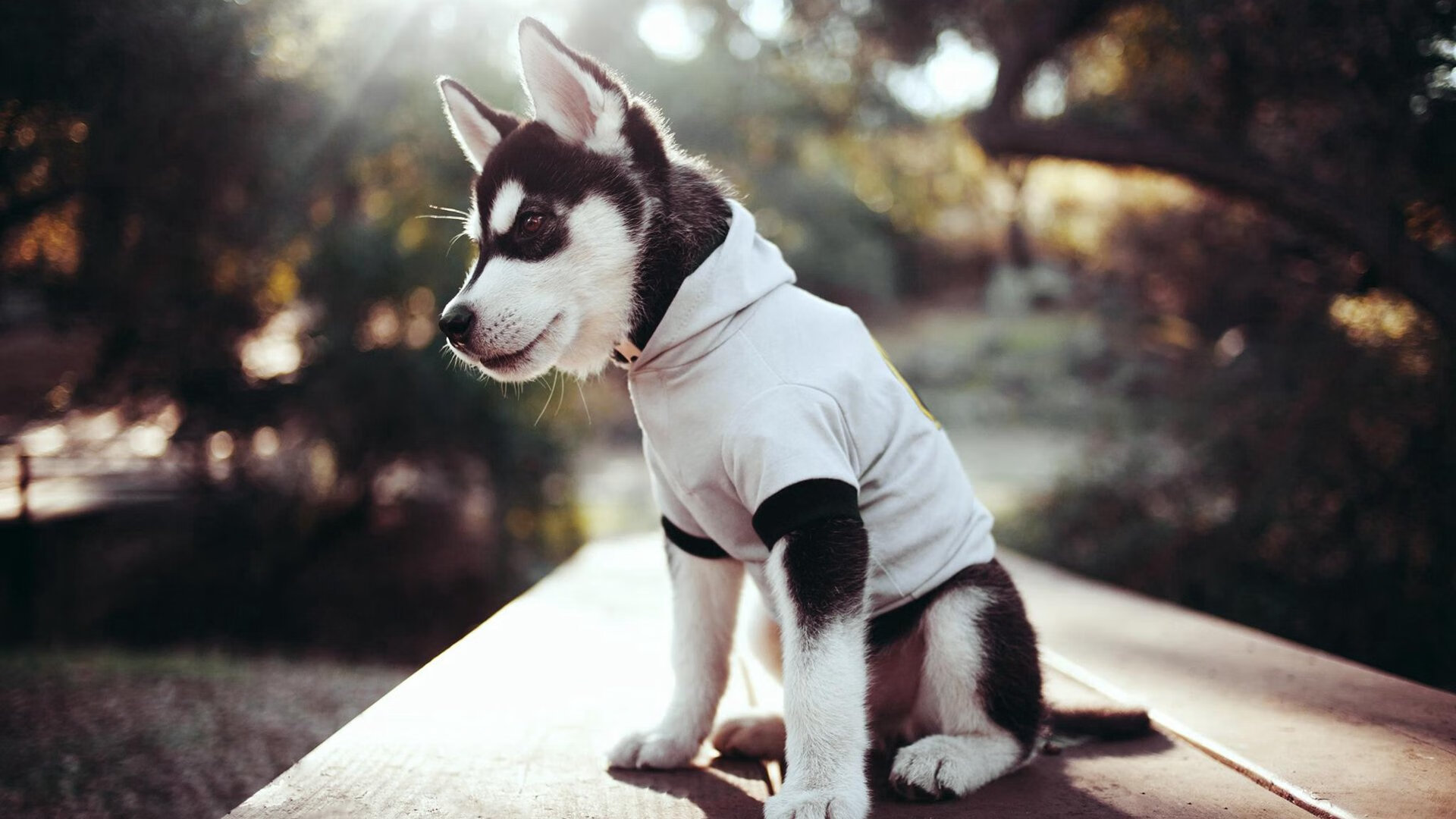 AYX GAME-国家队引进外籍助教,技战术细节获补强,国家队外籍教练有哪些