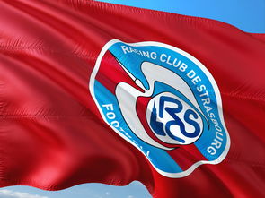 爱游戏官方网站-荷兰队在欧洲预赛中继续保持领先优势